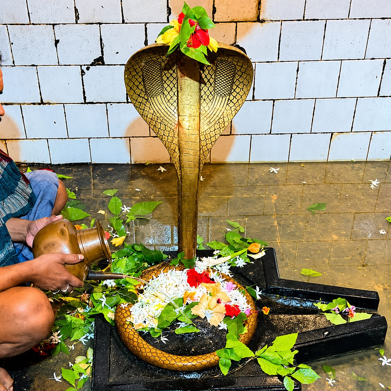Shivling Blessing